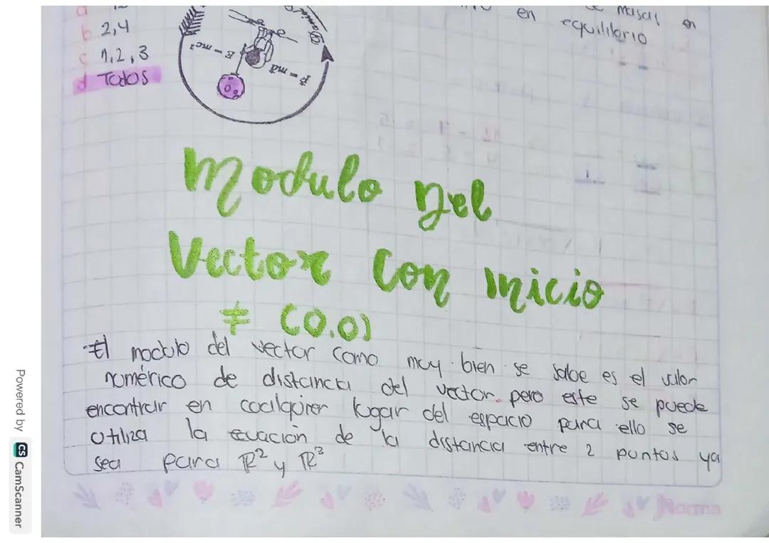 Cómo Calcular el Módulo de un Vector desde el Origen