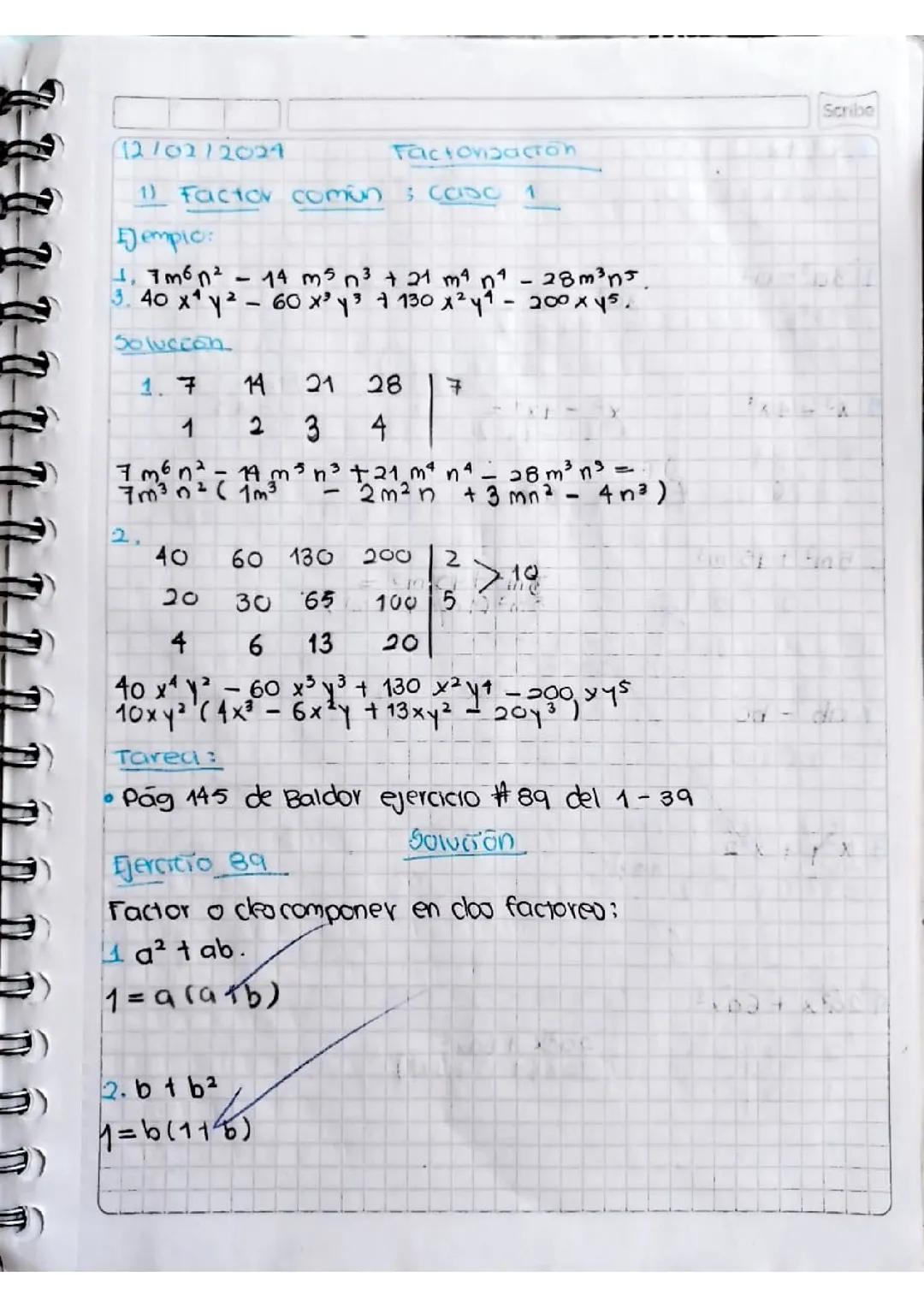 Factor común: caso 1