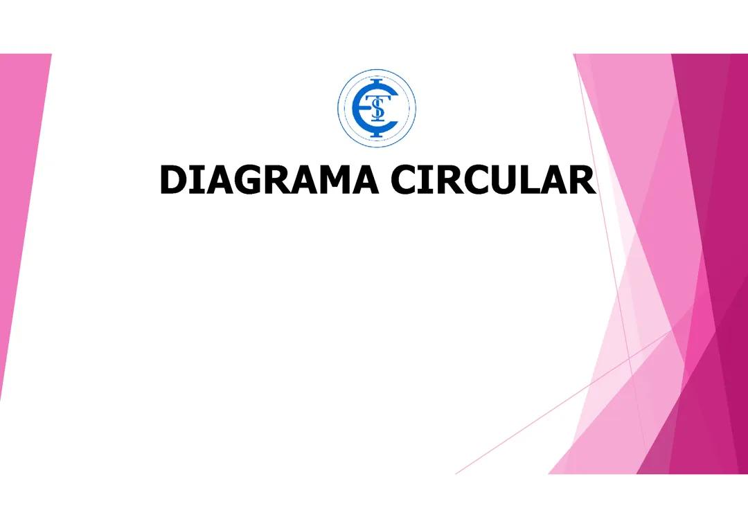 DIAGRAMA CIRCULAR