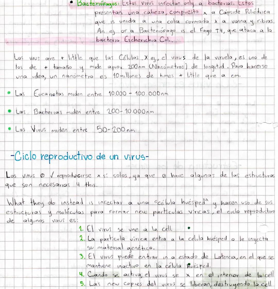 El conjunto de HiFas forma
a
reproducen x
Pluricelulares
multiples times
se
y
de esto se
estructura called Micelio. Los hongles
Esporulación