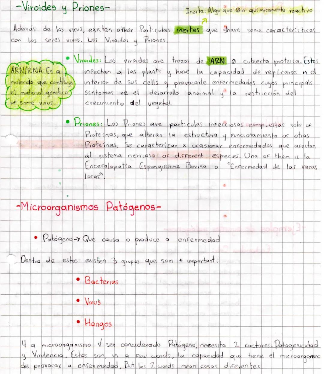 El conjunto de HiFas forma
a
reproducen x
Pluricelulares
multiples times
se
y
de esto se
estructura called Micelio. Los hongles
Esporulación