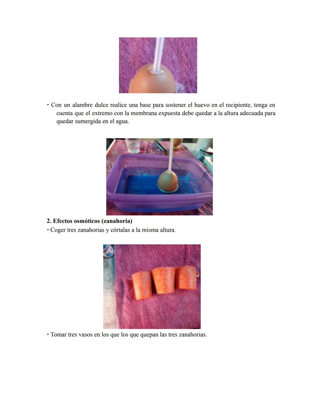 Efectos osmóticos
Objetivos
1. Analizar los factores que determinan la difusión simple 2.
Analizar los factores que determinan el fenómeno d