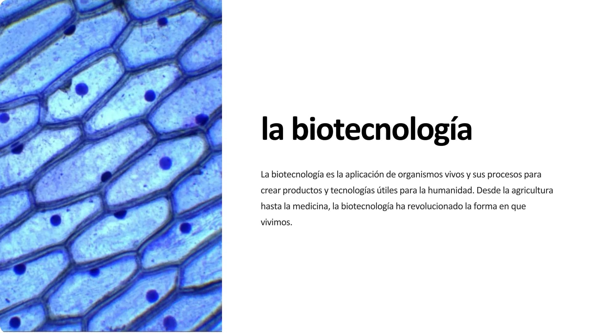 la biotecnología
La biotecnología es la aplicación de organismos vivos y sus procesos para
crear productos y tecnologías útiles para la huma