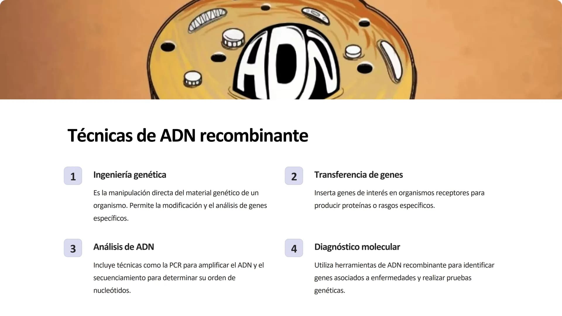 la biotecnología
La biotecnología es la aplicación de organismos vivos y sus procesos para
crear productos y tecnologías útiles para la huma