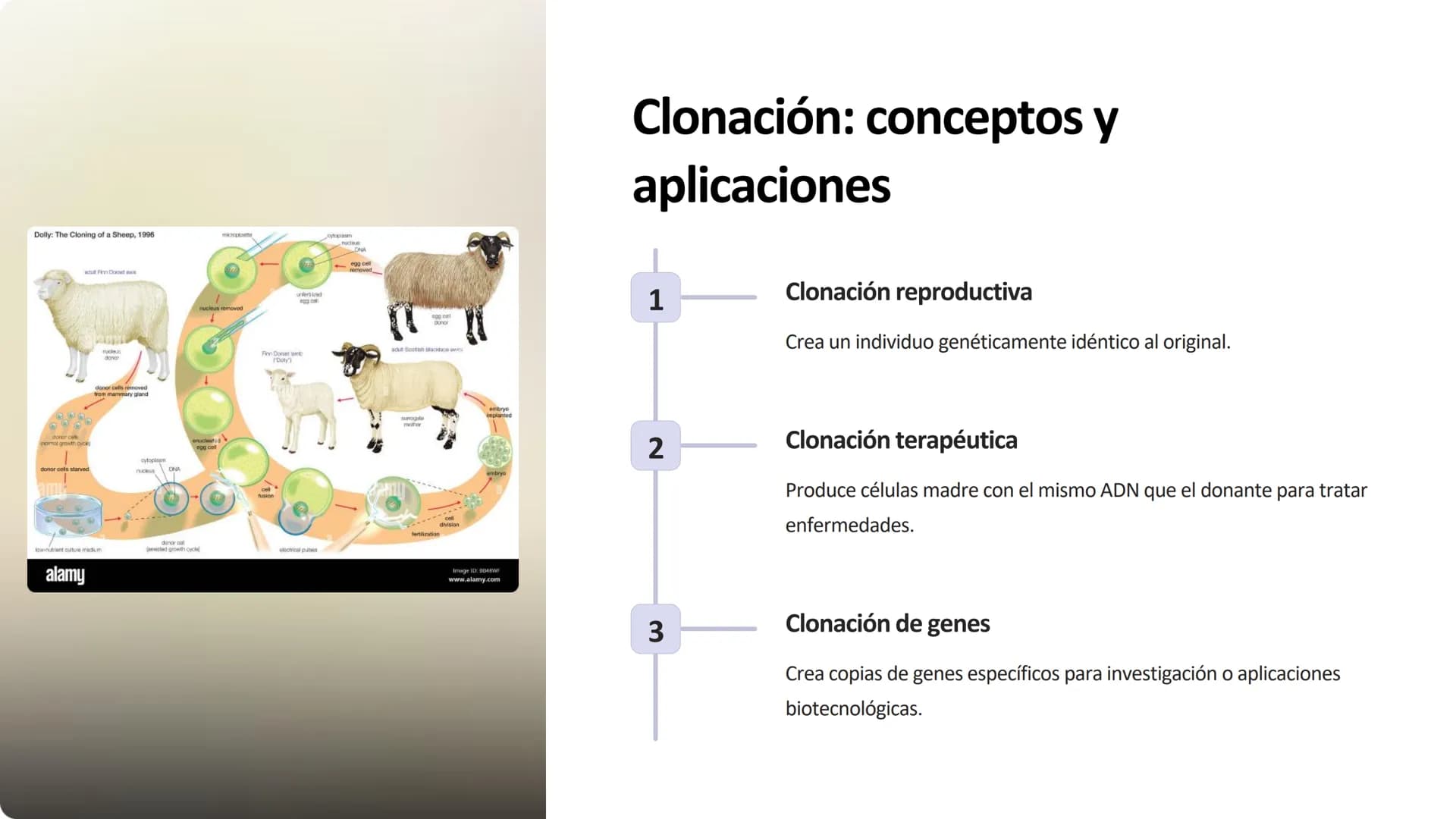 la biotecnología
La biotecnología es la aplicación de organismos vivos y sus procesos para
crear productos y tecnologías útiles para la huma