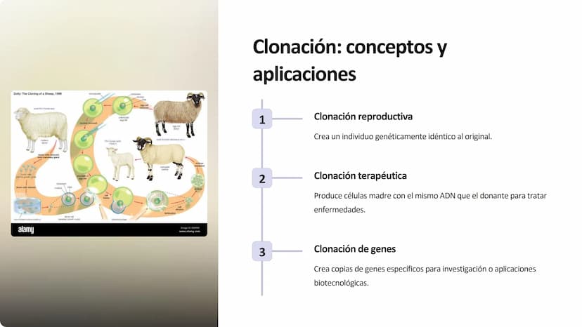 la biotecnología
La biotecnología es la aplicación de organismos vivos y sus procesos para
crear productos y tecnologías útiles para la huma