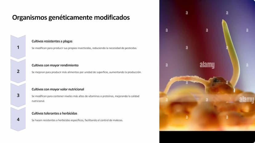 la biotecnología
La biotecnología es la aplicación de organismos vivos y sus procesos para
crear productos y tecnologías útiles para la huma