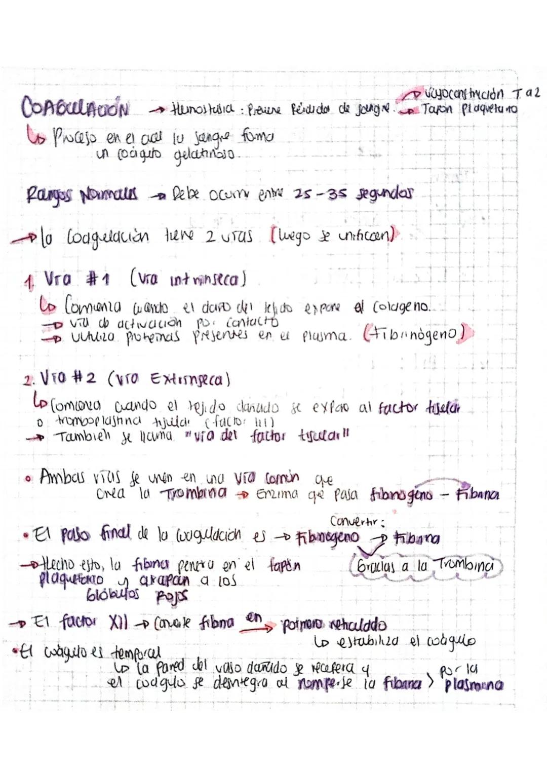 COAGULADON
→thinostasia: Prevere Reididor de jeungre vayoconstrición Taz
Us Proceso en el cac tu jangre foma Tapon Plaqueta no
un cociguro g