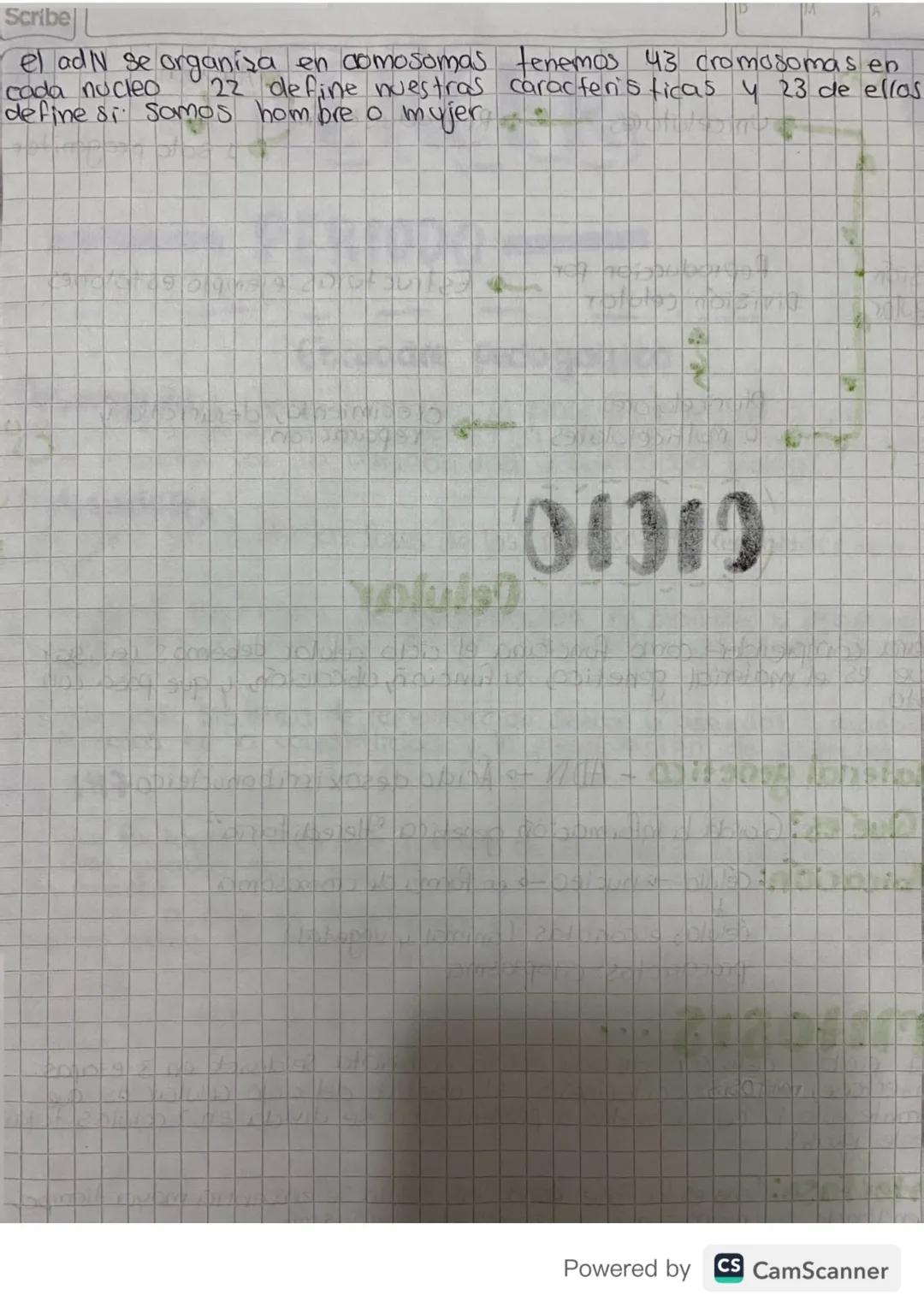 División
Celular
Asexual
SCRIDE
Unicelulares
Reproduccion
D1 solo progenitor
Reproduccion por
División celular
-
Estructuras: ejemplo estolo