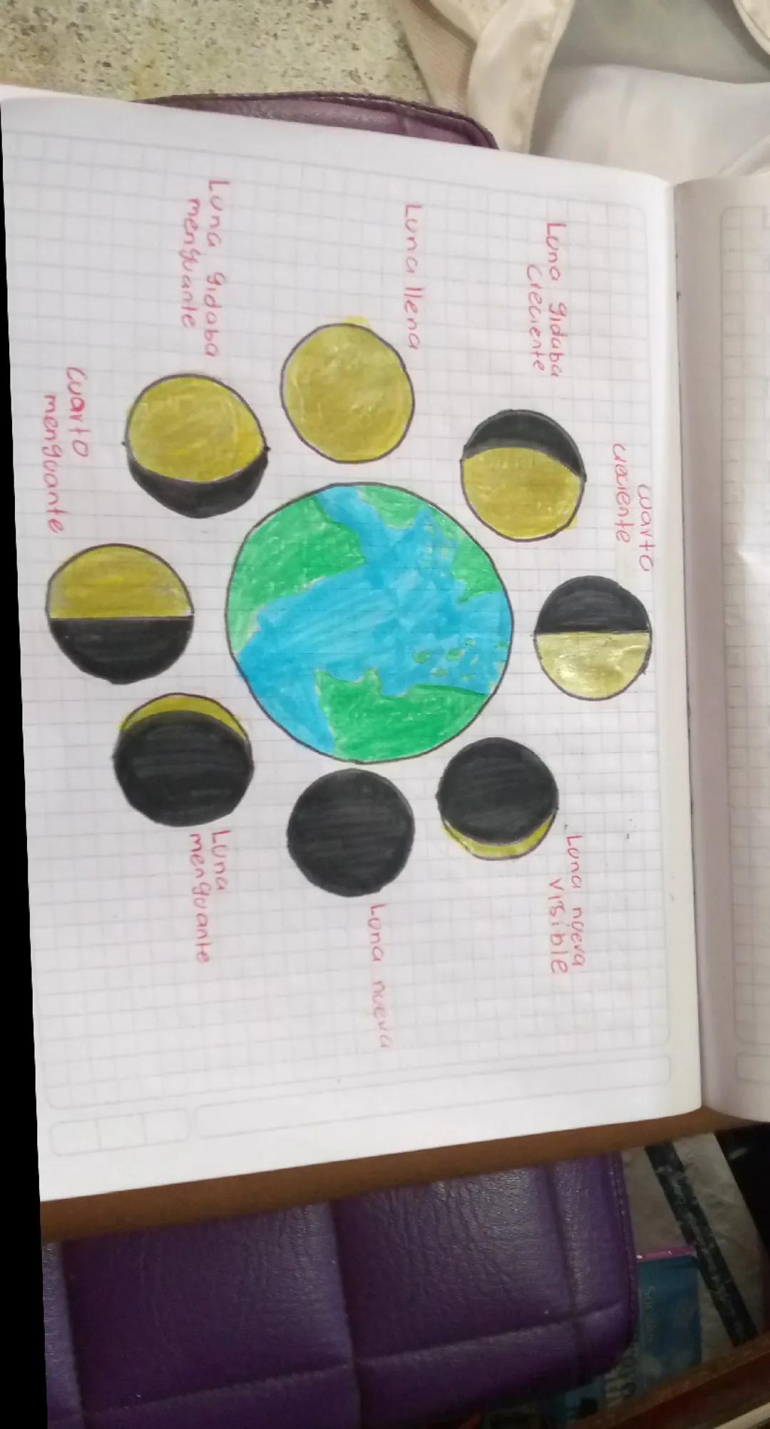 Dibujo de fases lunares con sus nombres