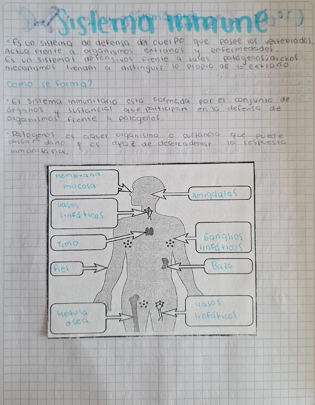 Sistema Inmune: Defensas y Agentes Patógenos