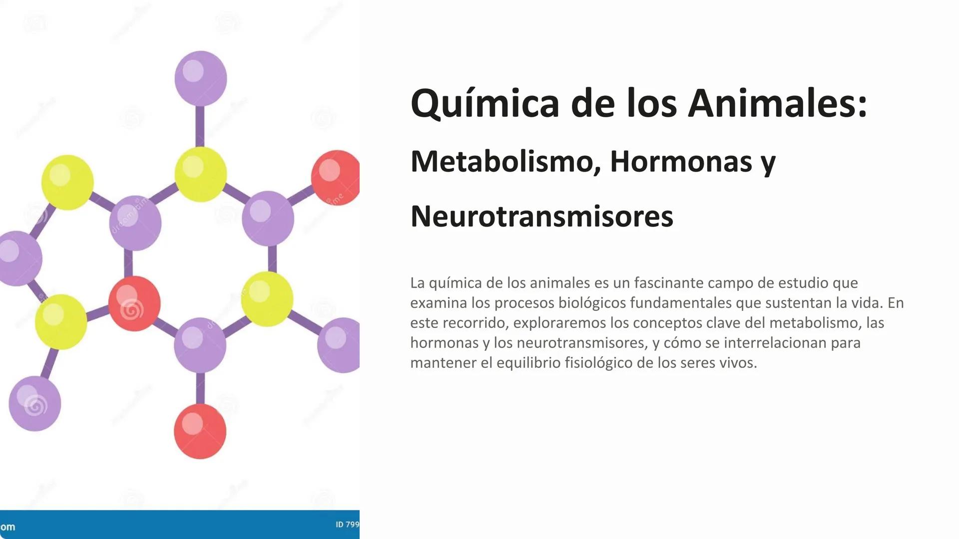 dre
dream
tim
om
ID 799
me
# Química de los Animales:
## Metabolismo, Hormonas y
## Neurotransmisores

La química de los animales es un fasc