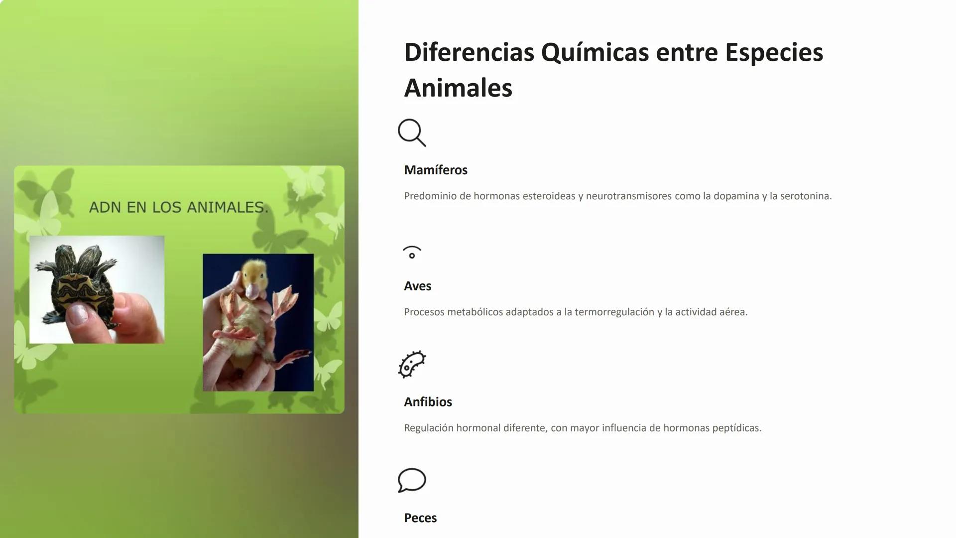 dre
dream
tim
om
ID 799
me
# Química de los Animales:
## Metabolismo, Hormonas y
## Neurotransmisores

La química de los animales es un fasc
