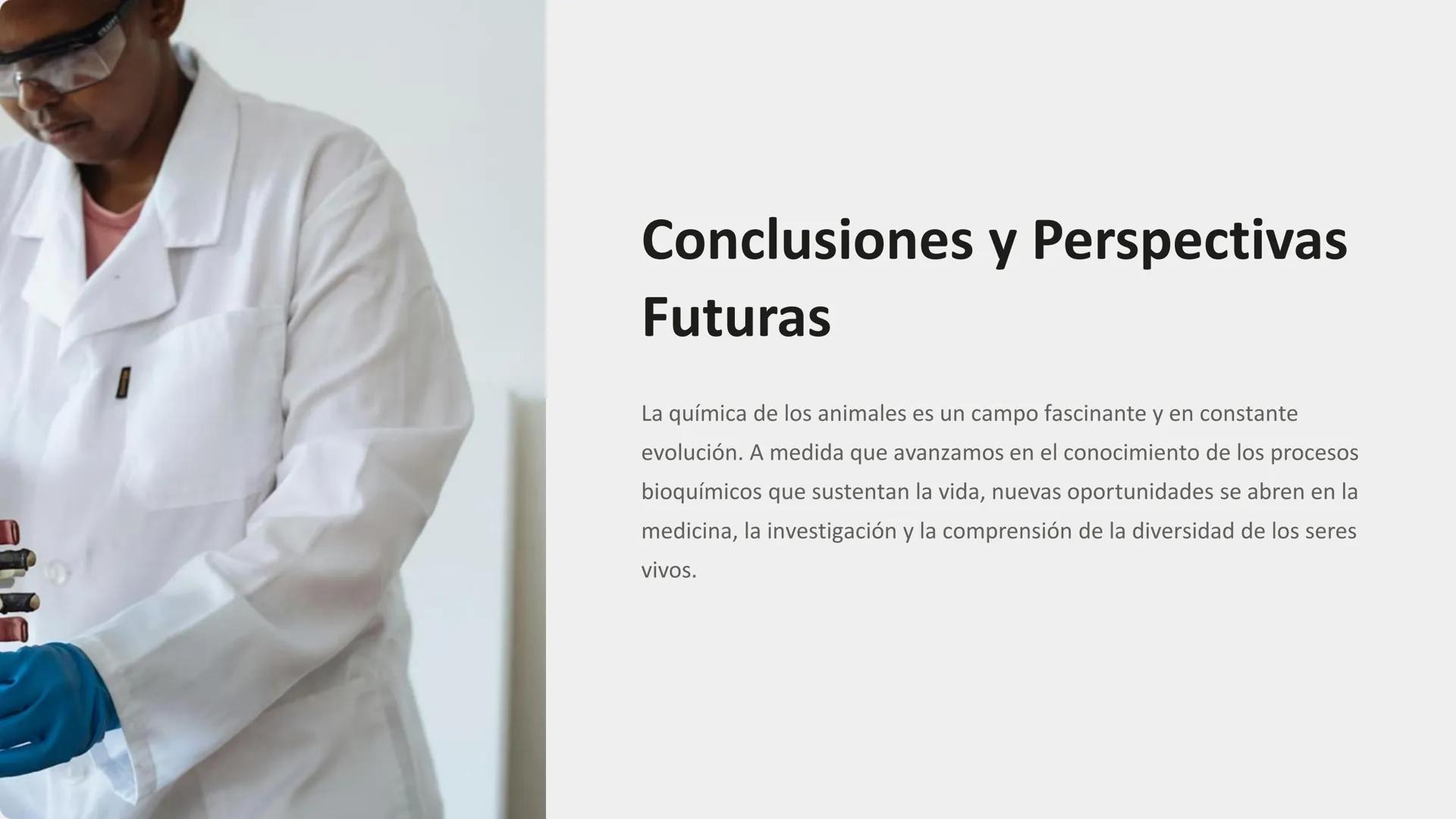 dre
dream
tim
om
ID 799
me
# Química de los Animales:
## Metabolismo, Hormonas y
## Neurotransmisores

La química de los animales es un fasc