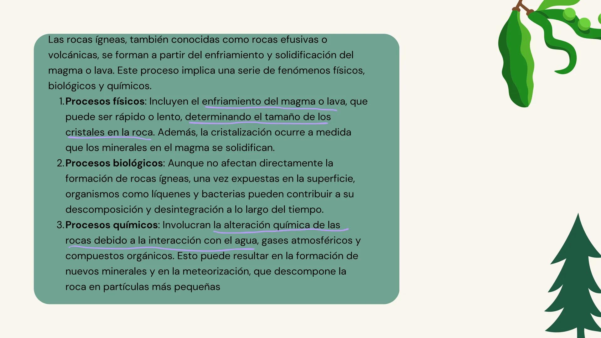 Las rocas ígneas, también conocidas como rocas efusivas o
volcánicas, se forman a partir del enfriamiento y solidificación del
magma o lava.