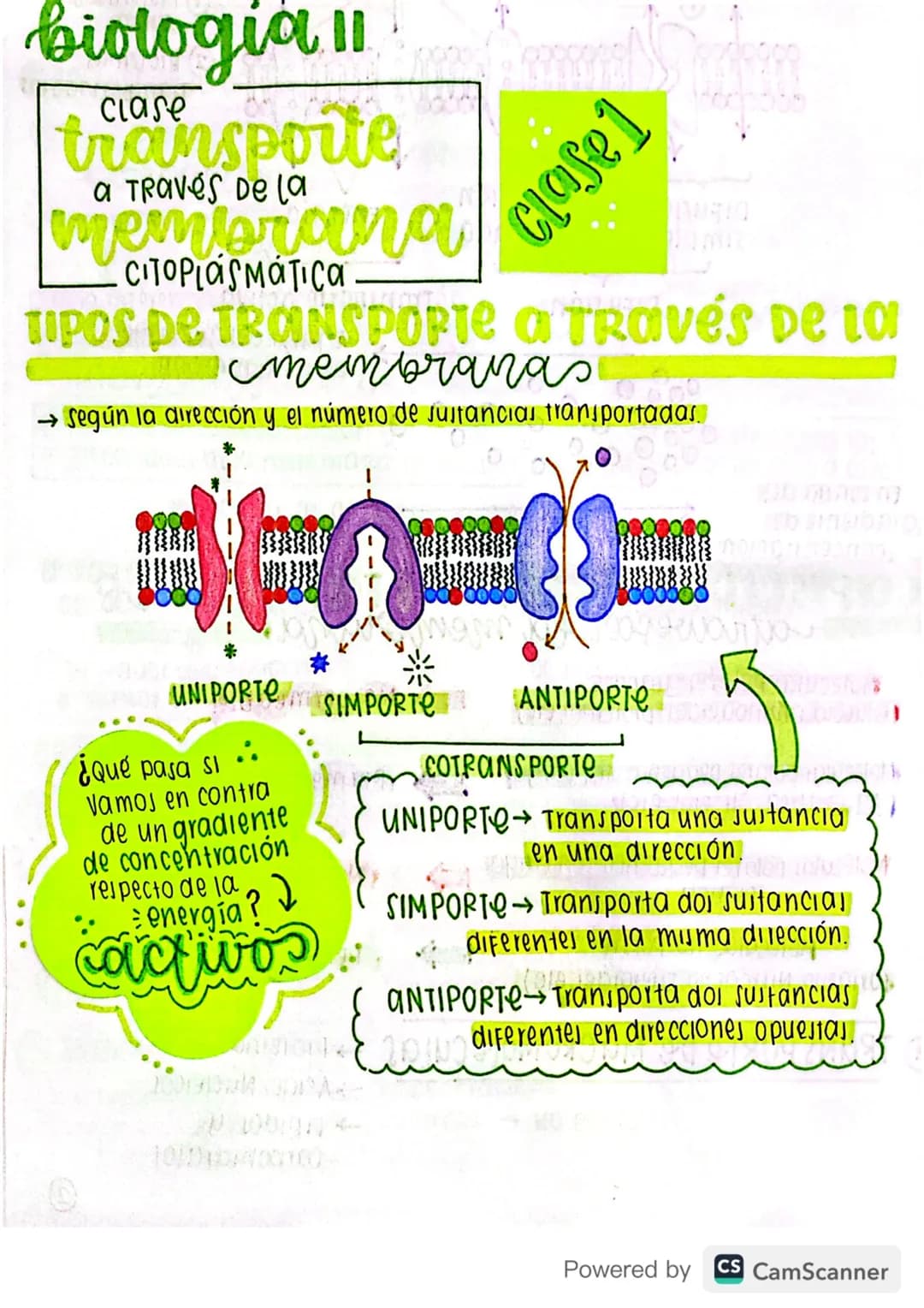 biologia 11
transporte
Clase
a Través de la
membrana
CITOPLASMÁTICA
clase 1
TIPOS DE TRANSPORTE a través de 10
membranas
→ Según la direcció
