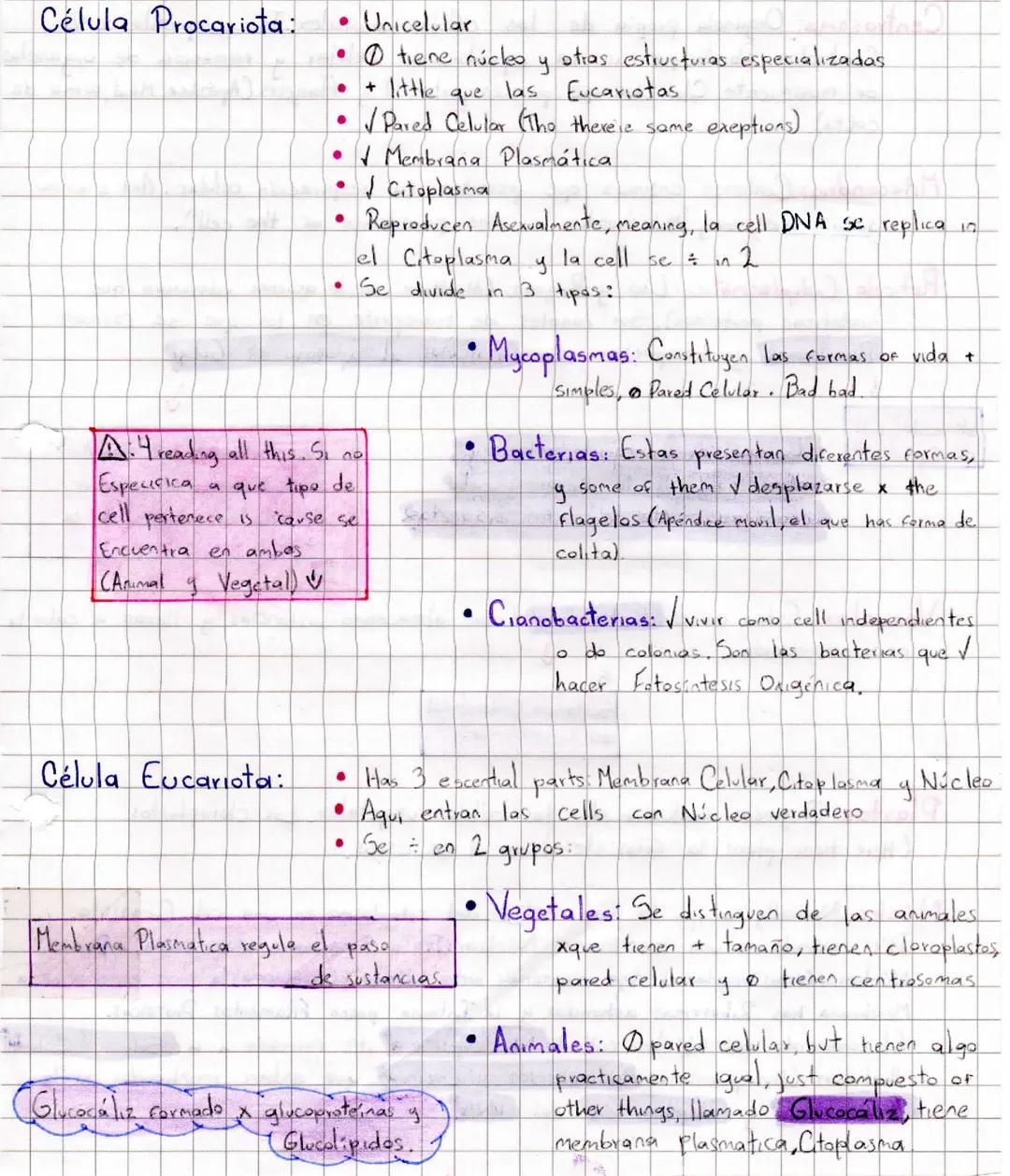 -Características de los seres vivos-

Some complex than
others

• Organización estructural que le permite satisfacer sus necesidades

Crecen