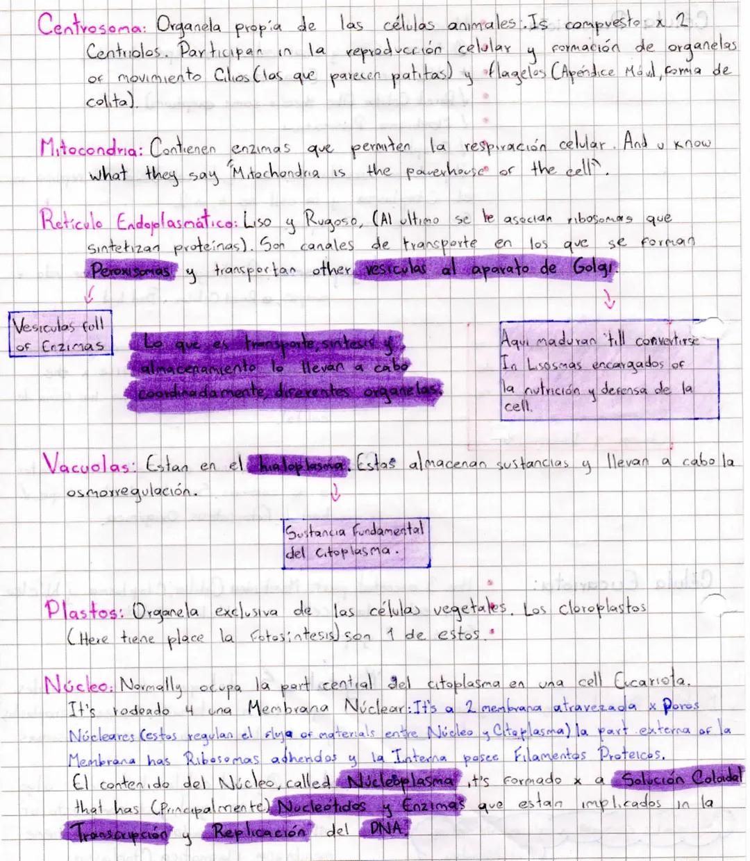 -Características de los seres vivos-

Some complex than
others

• Organización estructural que le permite satisfacer sus necesidades

Crecen