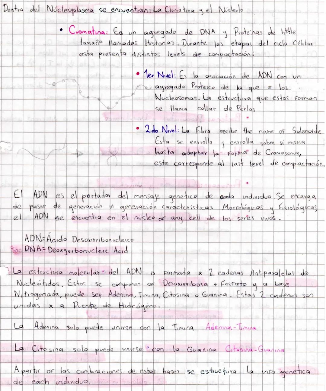 -Características de los seres vivos-

Some complex than
others

• Organización estructural que le permite satisfacer sus necesidades

Crecen