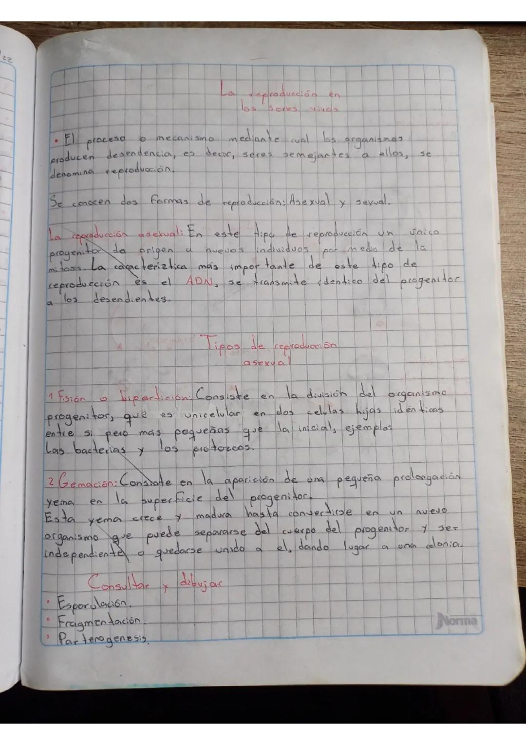 Reproducción asexual; tipos.