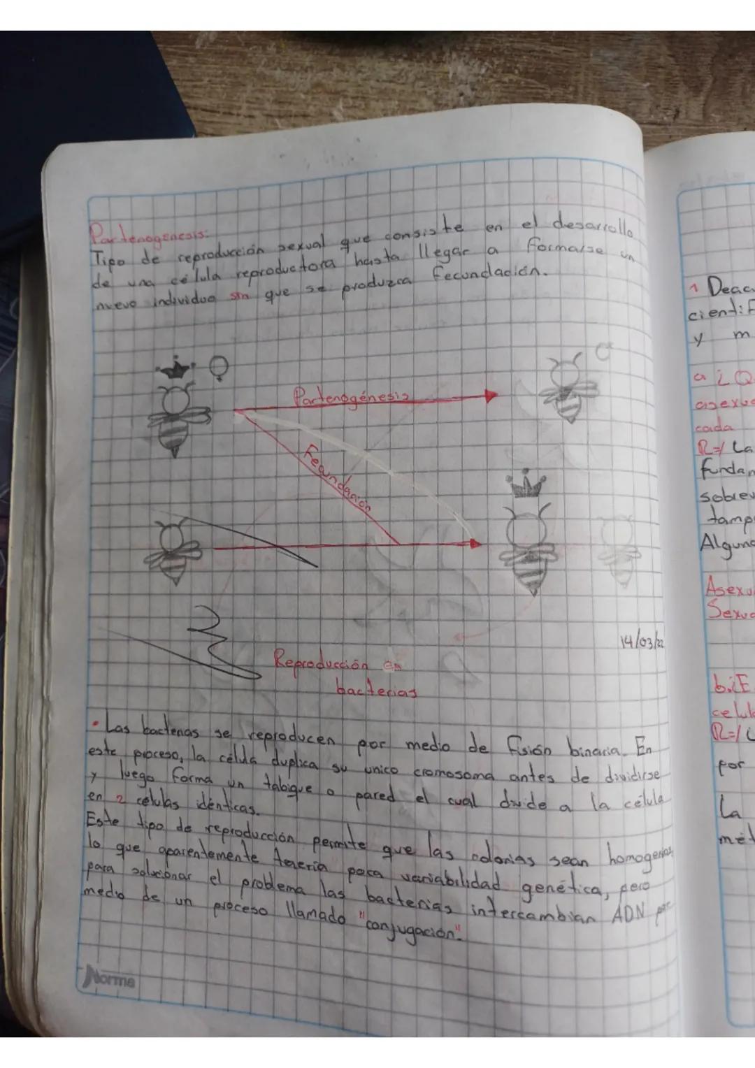 22
reproducción
Bokes.
en
حصدتاد
EL
proceso
0
mecanisino.
mediante cual los organismos
producen dependencia, es dear, seres semejantes a ell