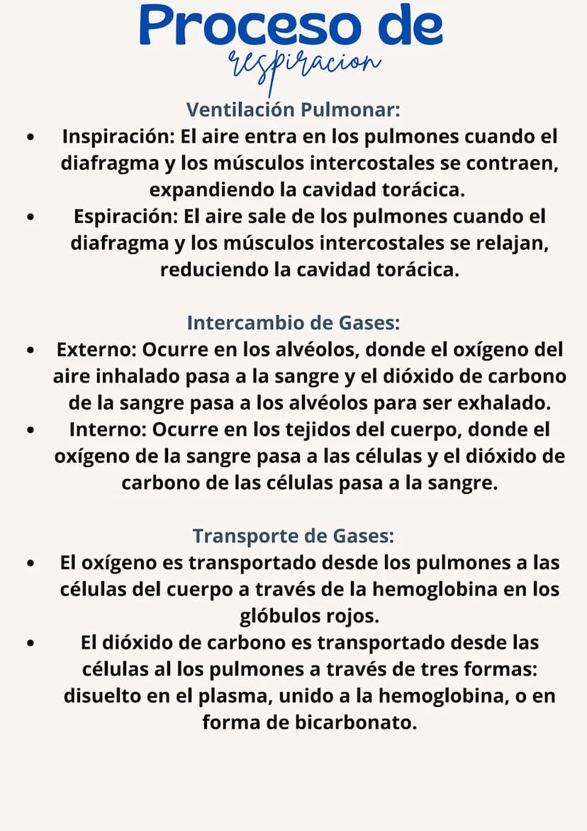 日
Sistema respiratorio
El sistema respiratorio es el conjunto de órganos y estructuras
involucrados en el intercambio de gases entre el orga