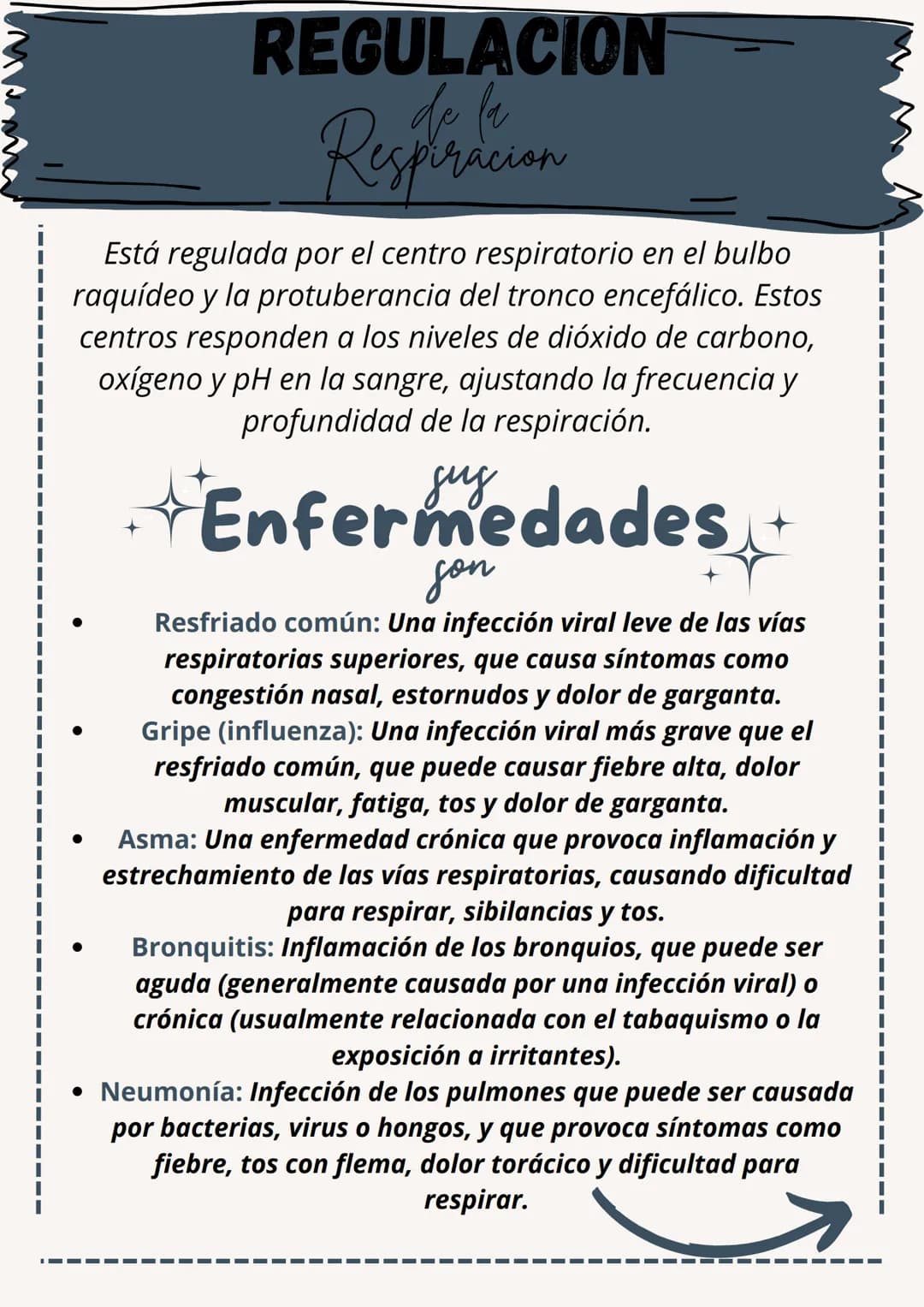 日
Sistema respiratorio
El sistema respiratorio es el conjunto de órganos y estructuras
involucrados en el intercambio de gases entre el orga