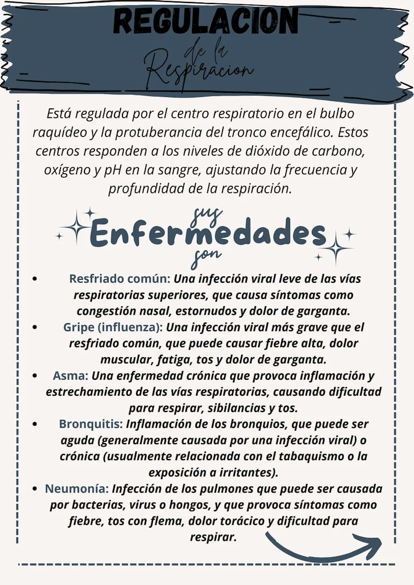 日
Sistema respiratorio
El sistema respiratorio es el conjunto de órganos y estructuras
involucrados en el intercambio de gases entre el orga