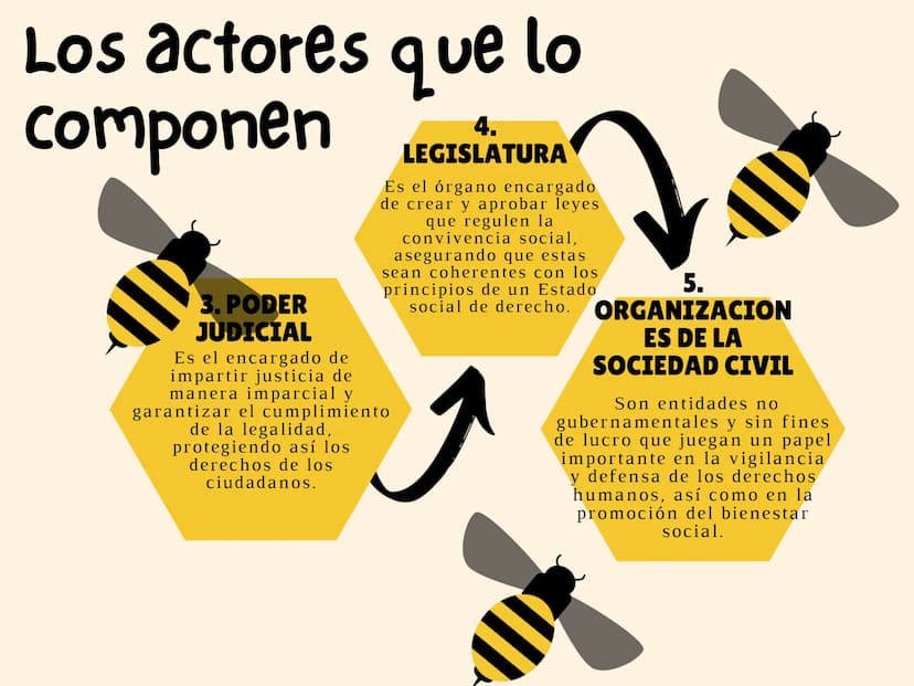 Las características
principales
1. Derechos
fundamentales
2. Igualdad
3. Bienestar social
4. Participación
ciudadana
5. Legalidad
1. Derecho