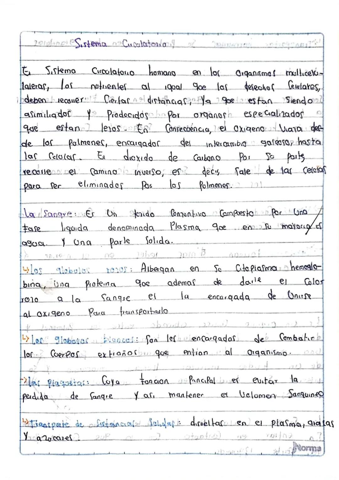 Sistema Circulatorio 