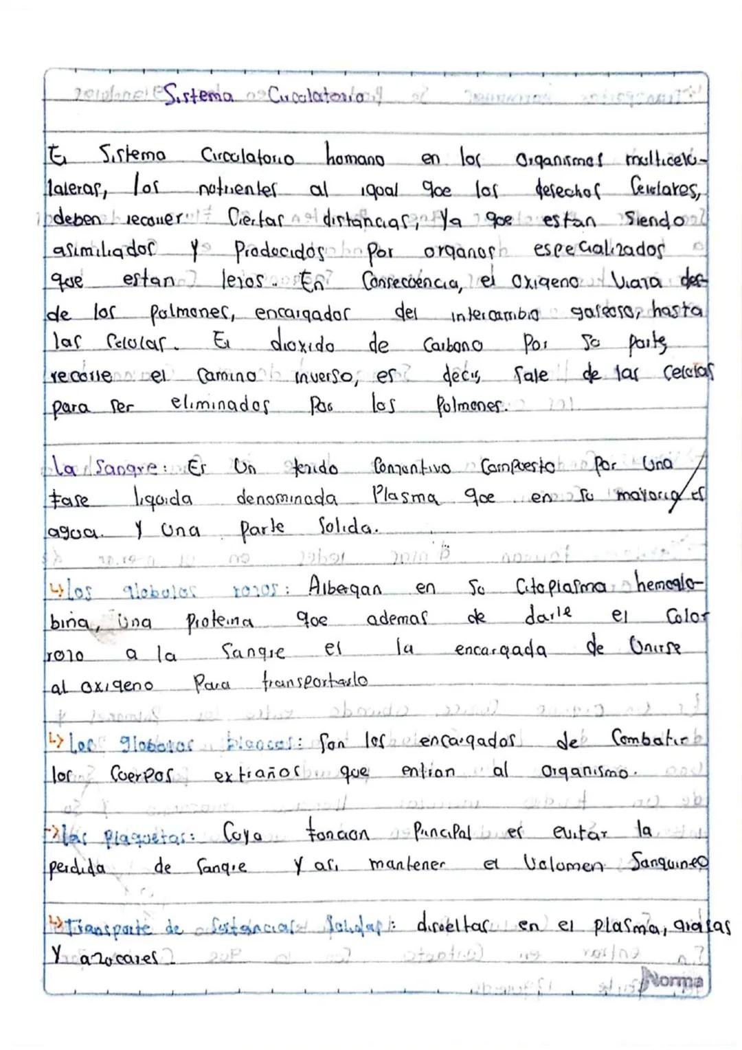 201danel Sistema 02Curcalatorian
que
estan
de los
G
Sistema Circulatorio homano
laleras, los
notuenter
deben recouer Chertar
asimilador
Y
P
