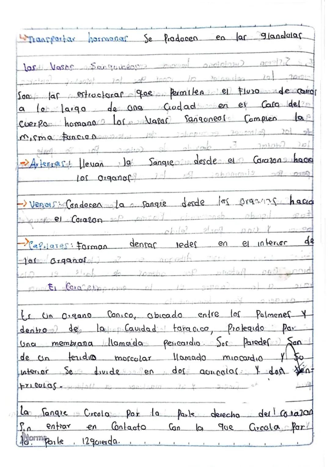 201danel Sistema 02Curcalatorian
que
estan
de los
G
Sistema Circulatorio homano
laleras, los
notuenter
deben recouer Chertar
asimilador
Y
P
