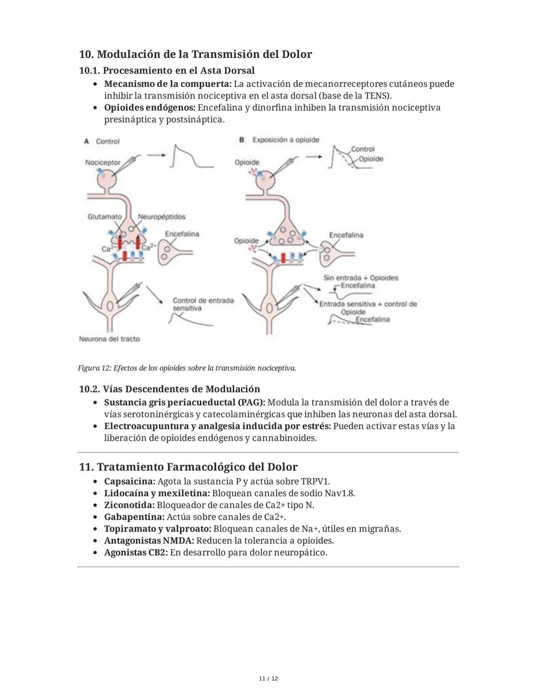 Neurotransmisión Somatosensorial: Tacto, Dolor y Temperatura
1. Introducción y Objetivos
Este capítulo aborda los mecanismos fisiológicos de