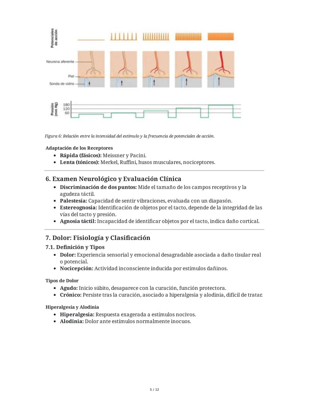 Neurotransmisión Somatosensorial: Tacto, Dolor y Temperatura
1. Introducción y Objetivos
Este capítulo aborda los mecanismos fisiológicos de