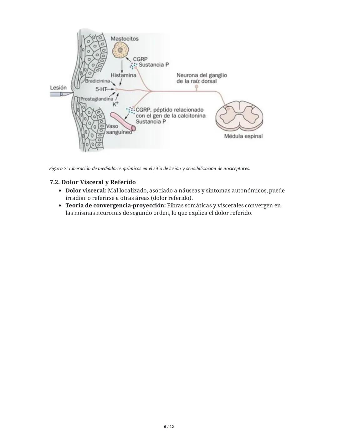 Neurotransmisión Somatosensorial: Tacto, Dolor y Temperatura
1. Introducción y Objetivos
Este capítulo aborda los mecanismos fisiológicos de