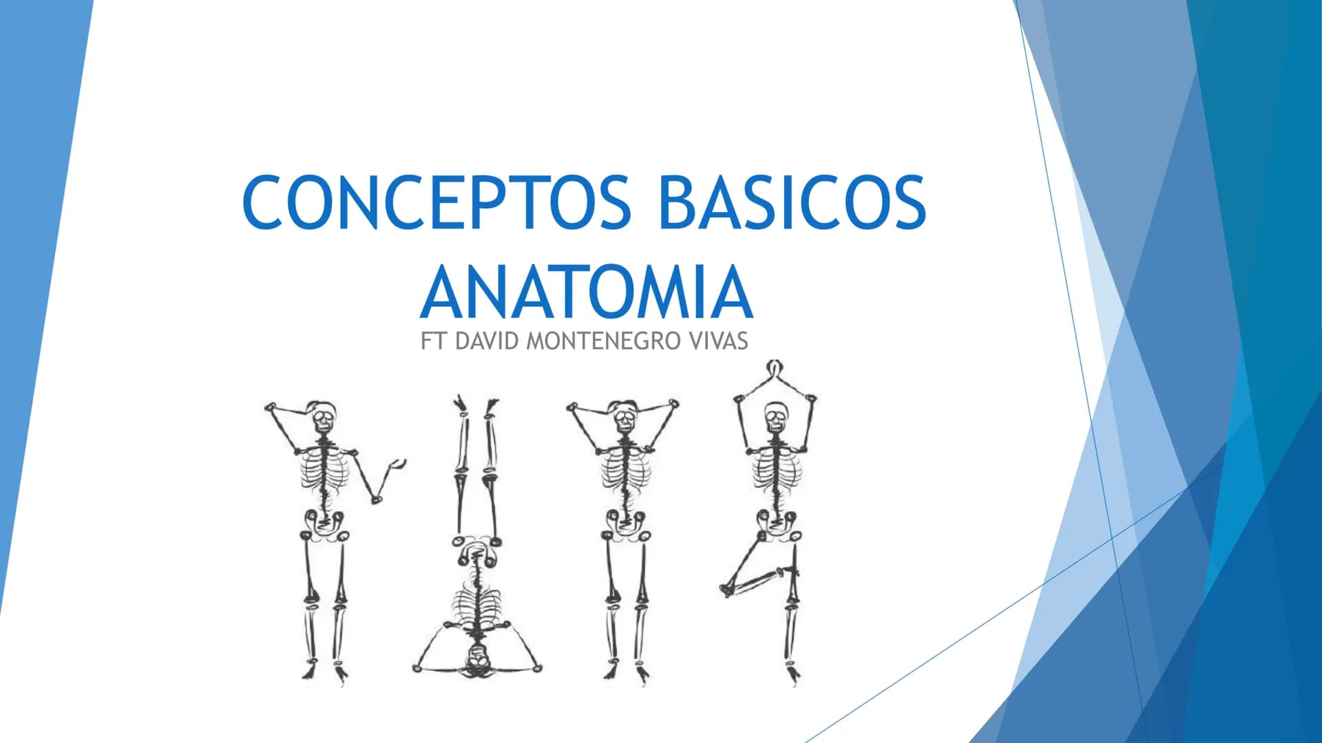 CONCEPTOS BASICOS
ANATOMIA
FT DAVID MONTENEGRO VIVAS ¿QUÉ ES LA ANATOMÍA? ANATOMÍA
Es el estudio de la estructura y la forma del cuerpo y su