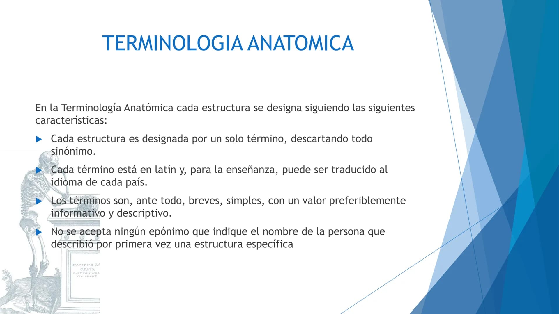 CONCEPTOS BASICOS
ANATOMIA
FT DAVID MONTENEGRO VIVAS ¿QUÉ ES LA ANATOMÍA? ANATOMÍA
Es el estudio de la estructura y la forma del cuerpo y su