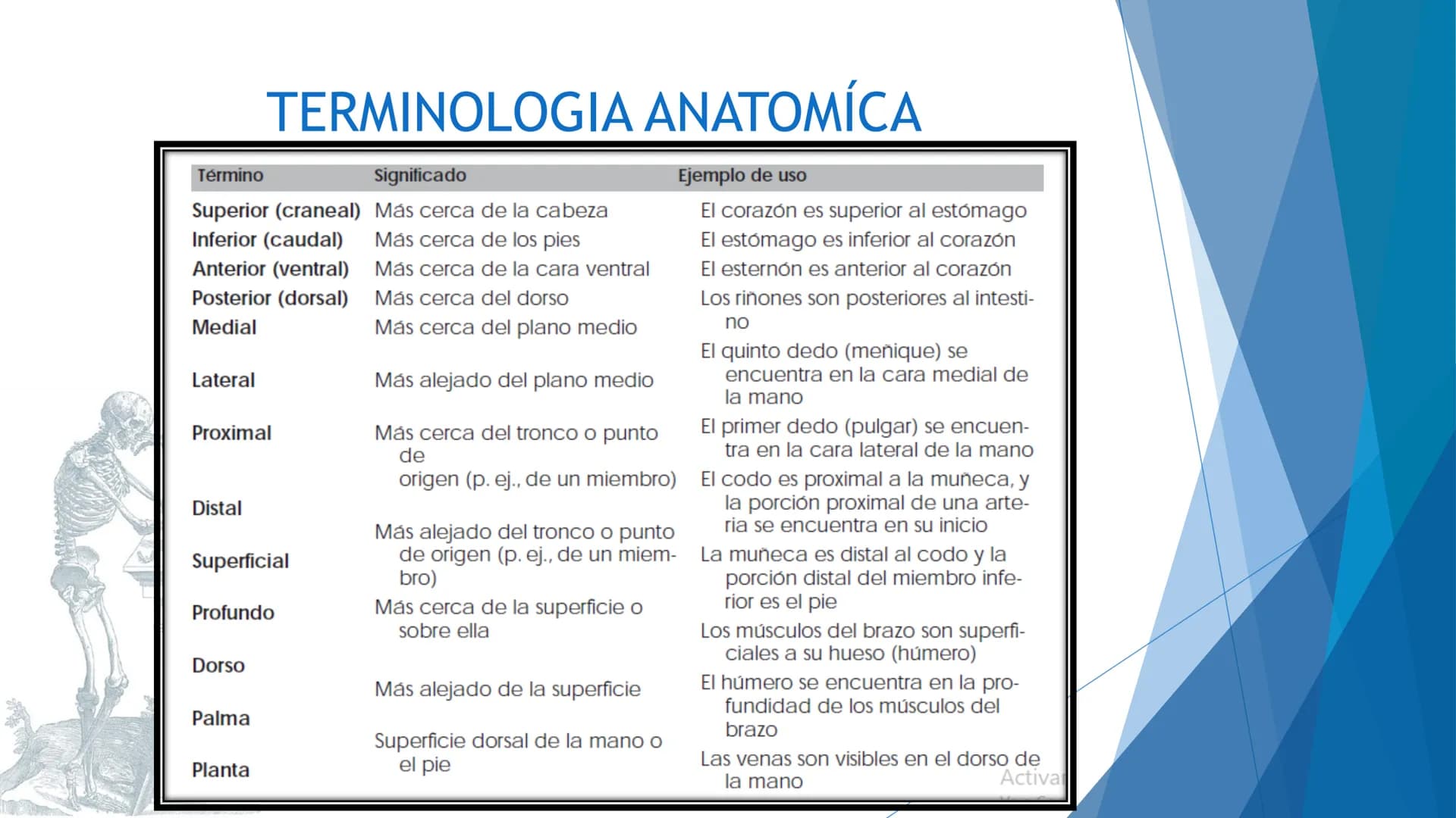 CONCEPTOS BASICOS
ANATOMIA
FT DAVID MONTENEGRO VIVAS ¿QUÉ ES LA ANATOMÍA? ANATOMÍA
Es el estudio de la estructura y la forma del cuerpo y su