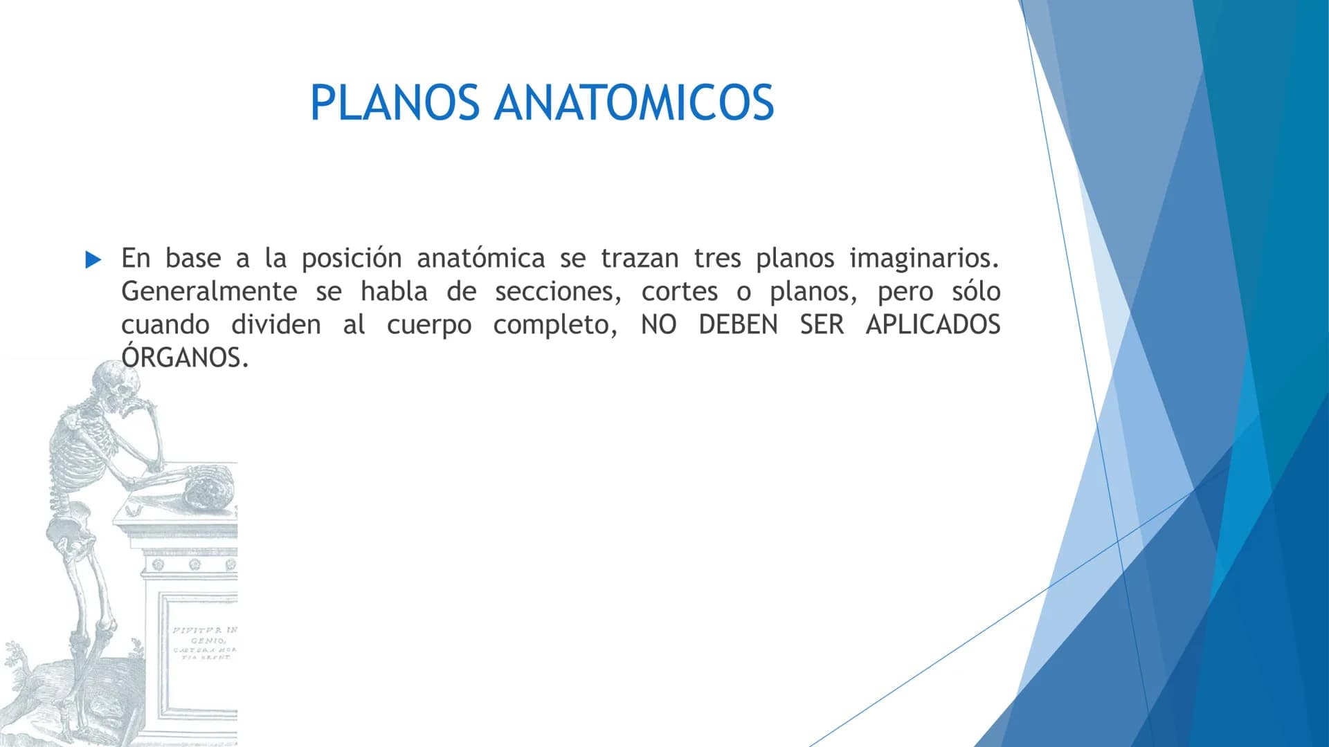 CONCEPTOS BASICOS
ANATOMIA
FT DAVID MONTENEGRO VIVAS ¿QUÉ ES LA ANATOMÍA? ANATOMÍA
Es el estudio de la estructura y la forma del cuerpo y su