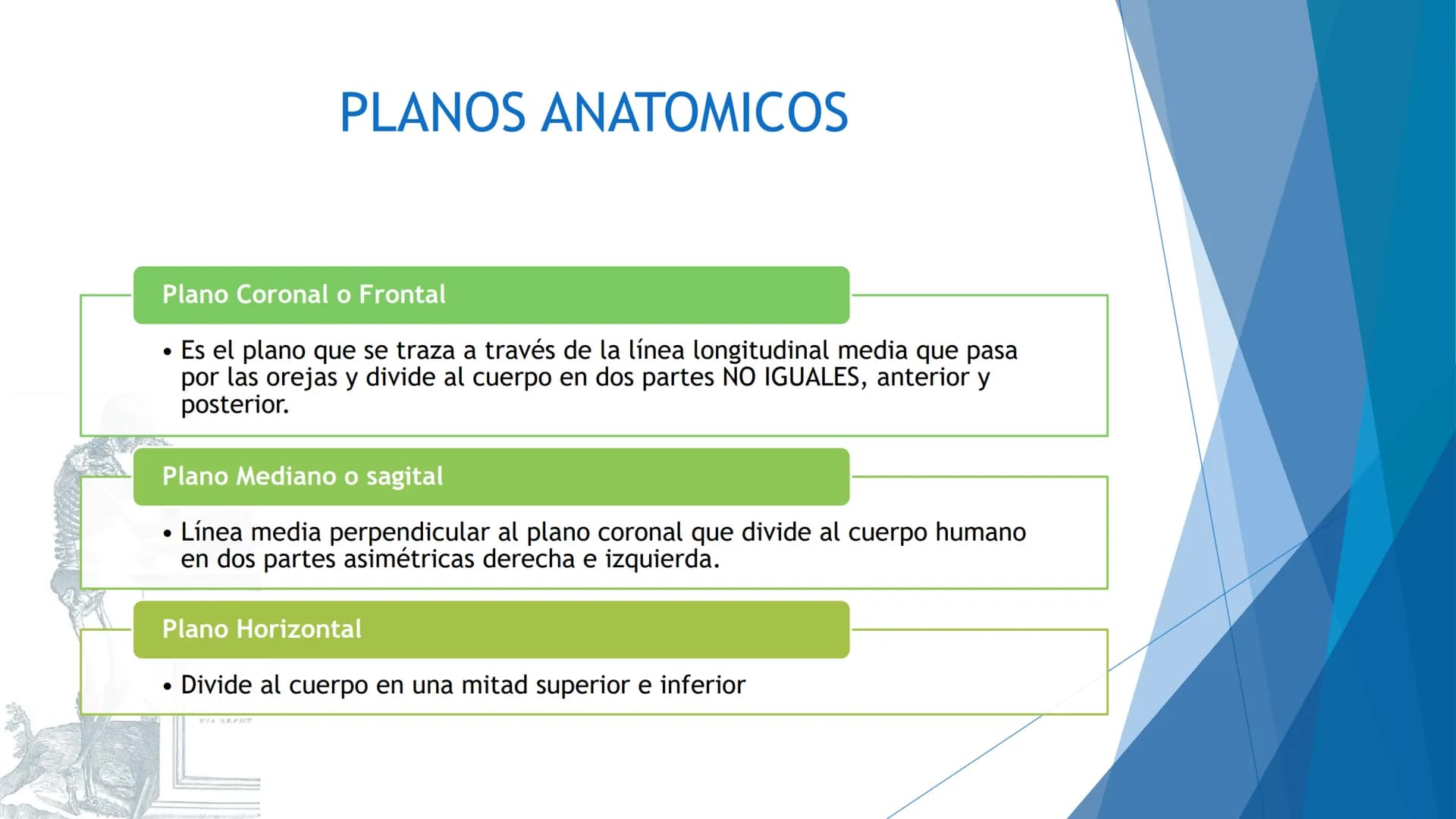 CONCEPTOS BASICOS
ANATOMIA
FT DAVID MONTENEGRO VIVAS ¿QUÉ ES LA ANATOMÍA? ANATOMÍA
Es el estudio de la estructura y la forma del cuerpo y su