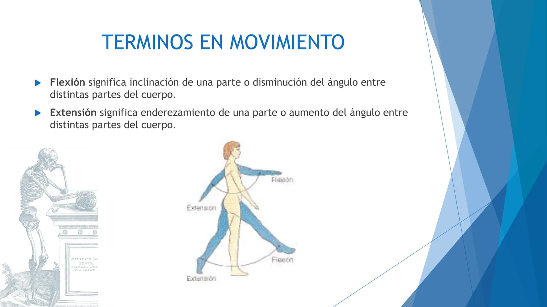 CONCEPTOS BASICOS
ANATOMIA
FT DAVID MONTENEGRO VIVAS ¿QUÉ ES LA ANATOMÍA? ANATOMÍA
Es el estudio de la estructura y la forma del cuerpo y su