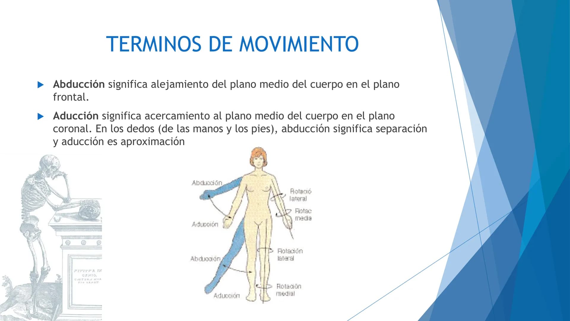 CONCEPTOS BASICOS
ANATOMIA
FT DAVID MONTENEGRO VIVAS ¿QUÉ ES LA ANATOMÍA? ANATOMÍA
Es el estudio de la estructura y la forma del cuerpo y su