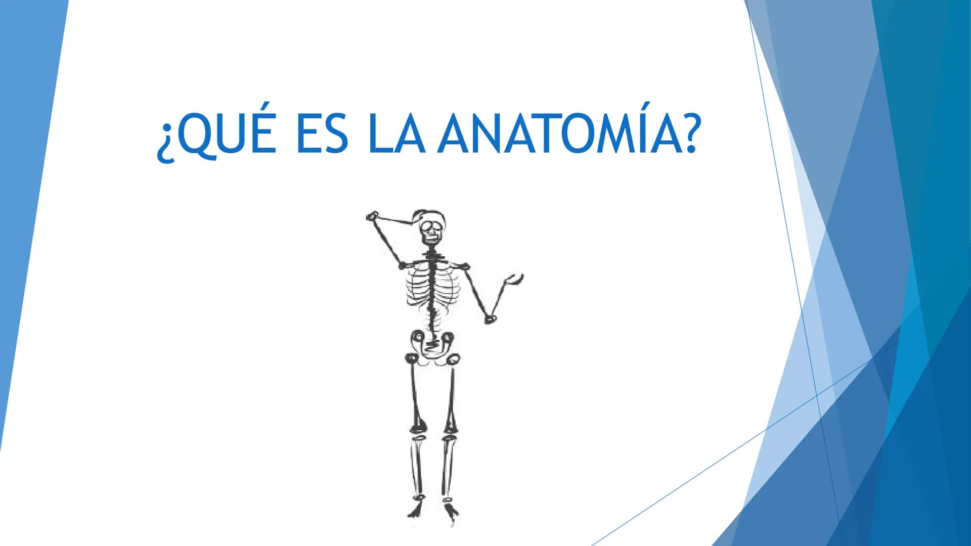 CONCEPTOS BASICOS
ANATOMIA
FT DAVID MONTENEGRO VIVAS ¿QUÉ ES LA ANATOMÍA? ANATOMÍA
Es el estudio de la estructura y la forma del cuerpo y su