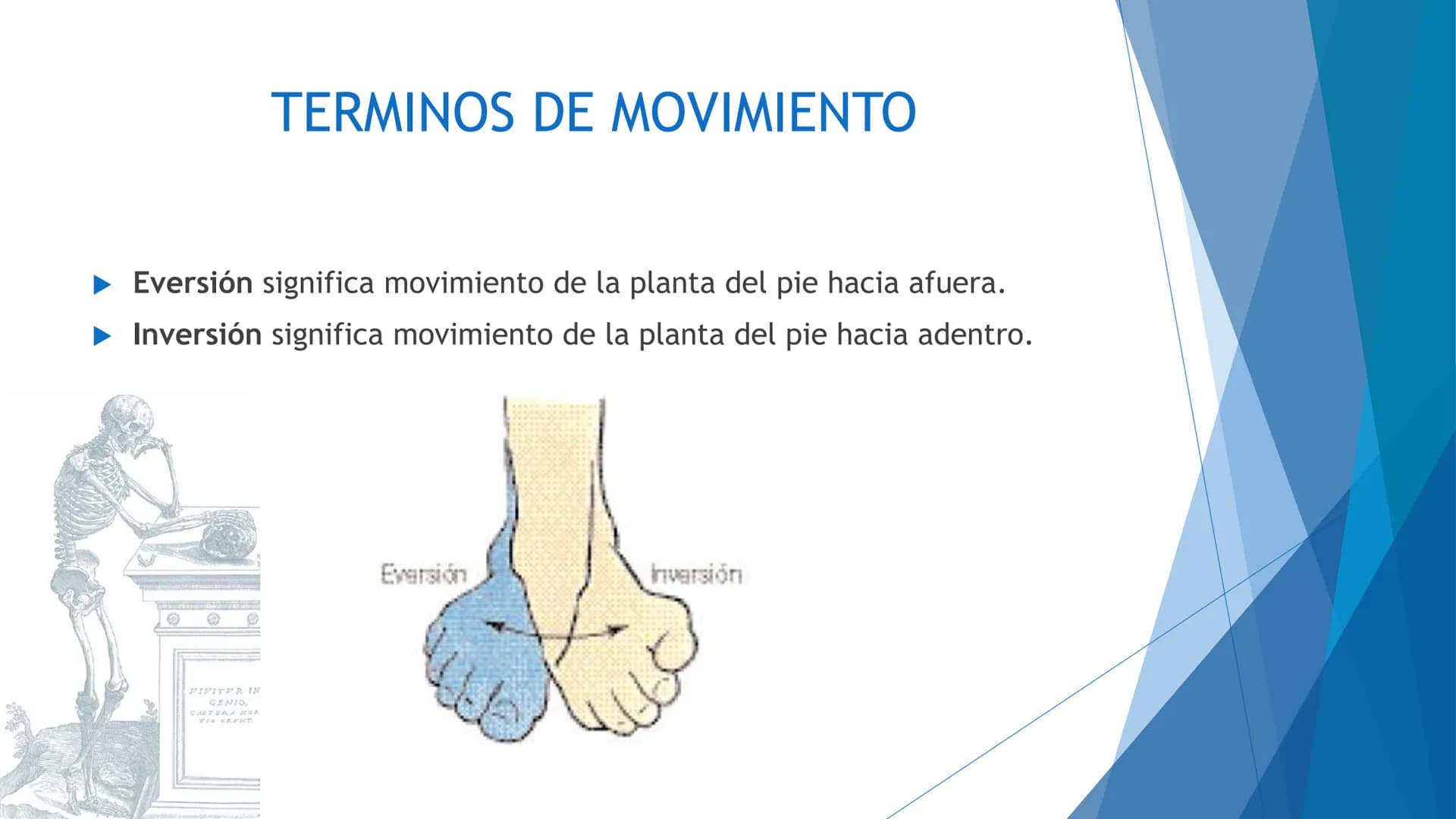 CONCEPTOS BASICOS
ANATOMIA
FT DAVID MONTENEGRO VIVAS ¿QUÉ ES LA ANATOMÍA? ANATOMÍA
Es el estudio de la estructura y la forma del cuerpo y su