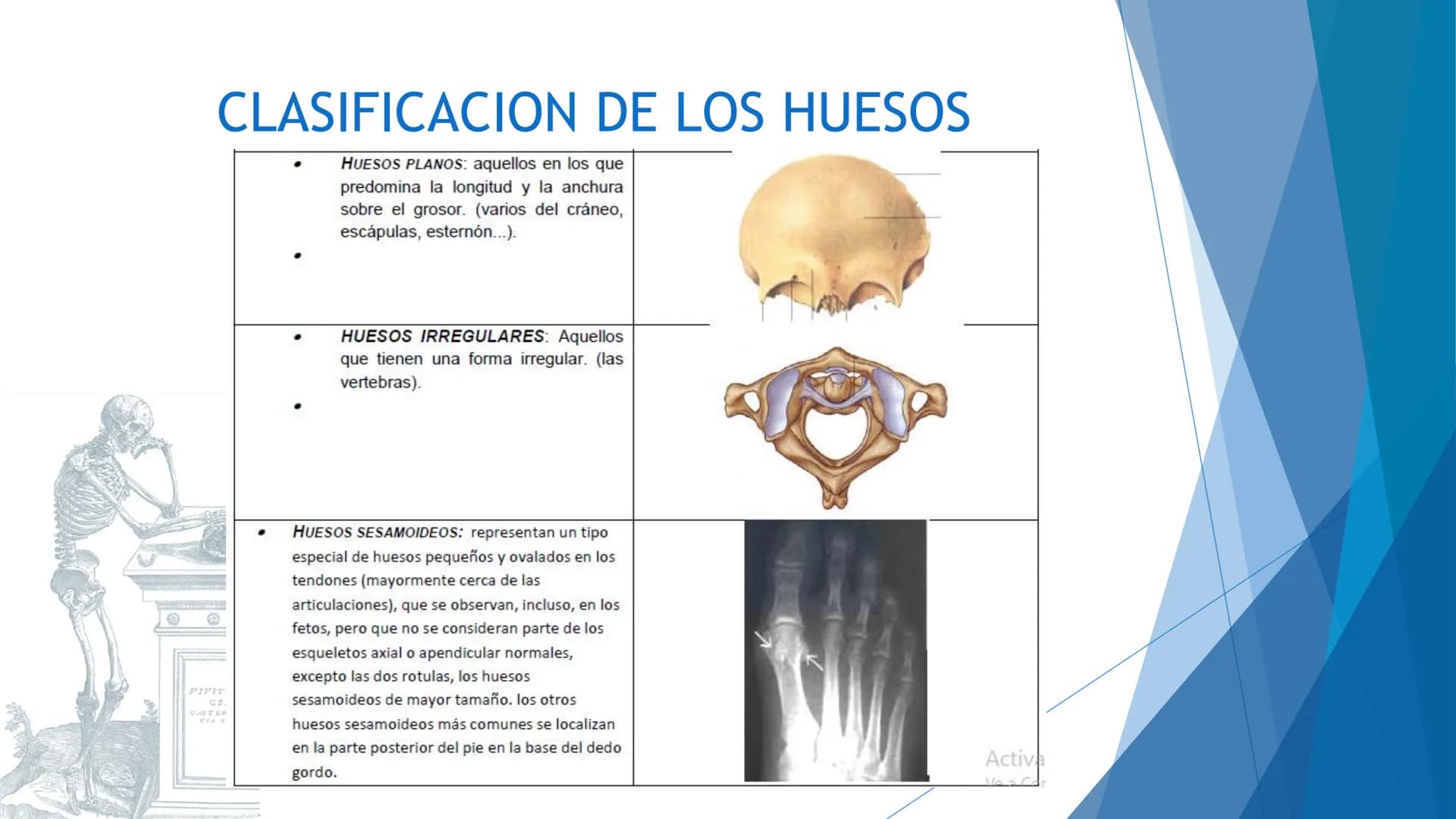 CONCEPTOS BASICOS
ANATOMIA
FT DAVID MONTENEGRO VIVAS ¿QUÉ ES LA ANATOMÍA? ANATOMÍA
Es el estudio de la estructura y la forma del cuerpo y su