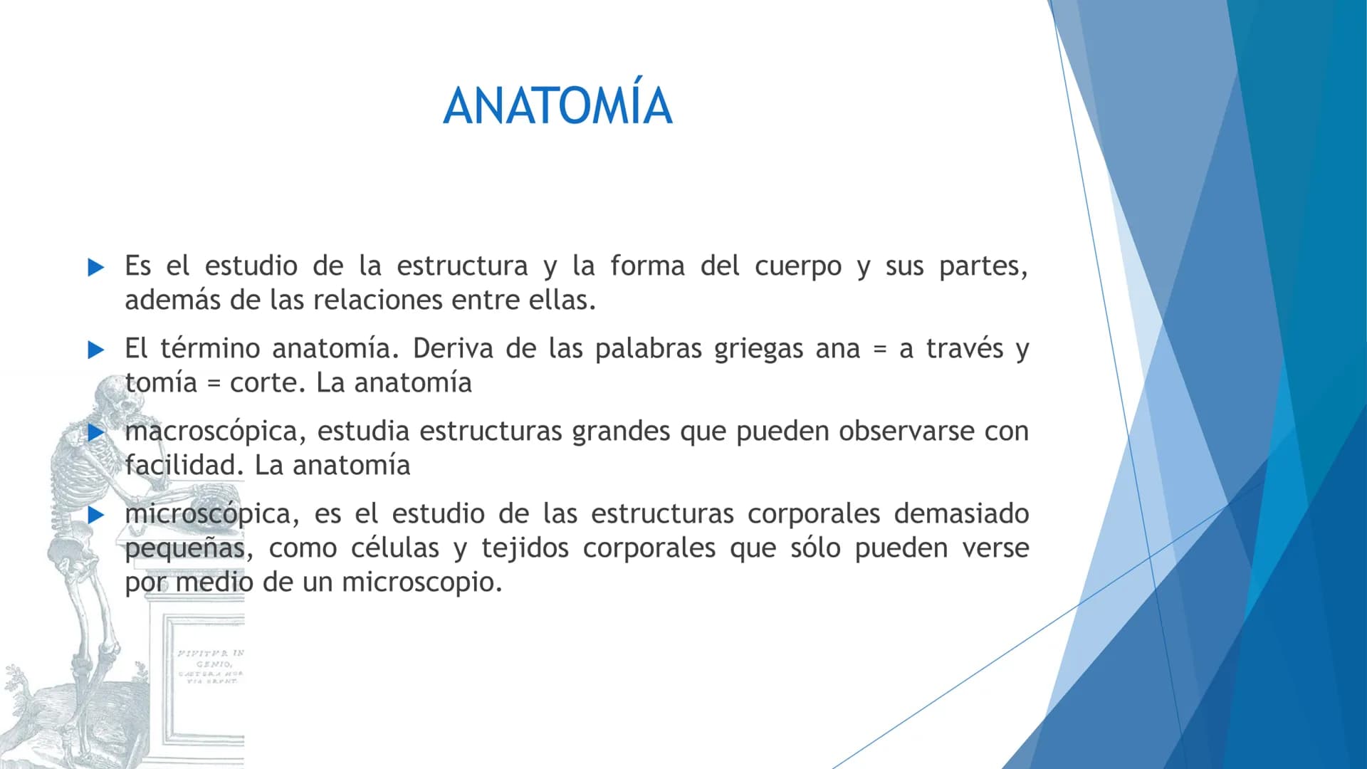 CONCEPTOS BASICOS
ANATOMIA
FT DAVID MONTENEGRO VIVAS ¿QUÉ ES LA ANATOMÍA? ANATOMÍA
Es el estudio de la estructura y la forma del cuerpo y su