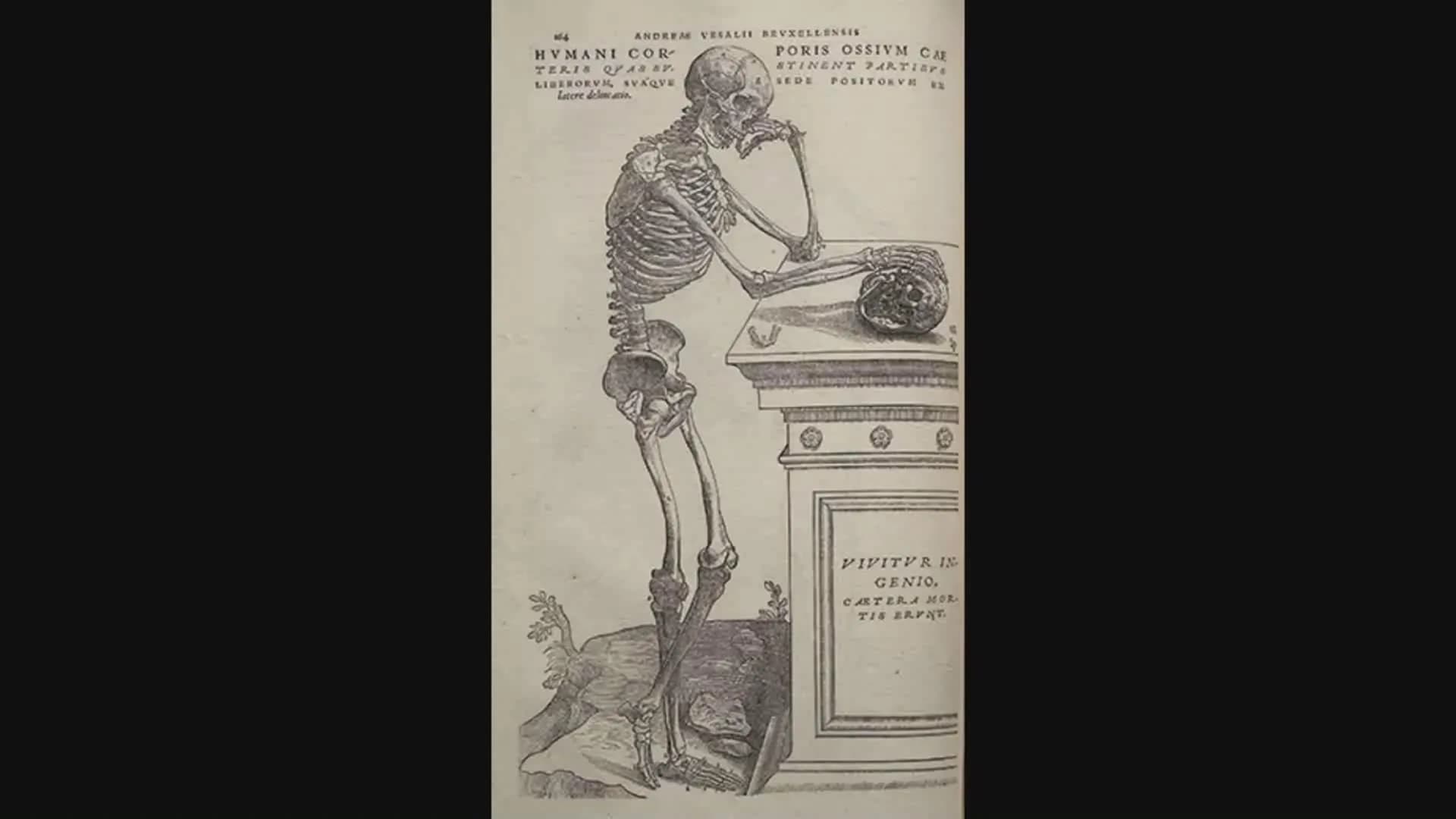CONCEPTOS BASICOS
ANATOMIA
FT DAVID MONTENEGRO VIVAS ¿QUÉ ES LA ANATOMÍA? ANATOMÍA
Es el estudio de la estructura y la forma del cuerpo y su
