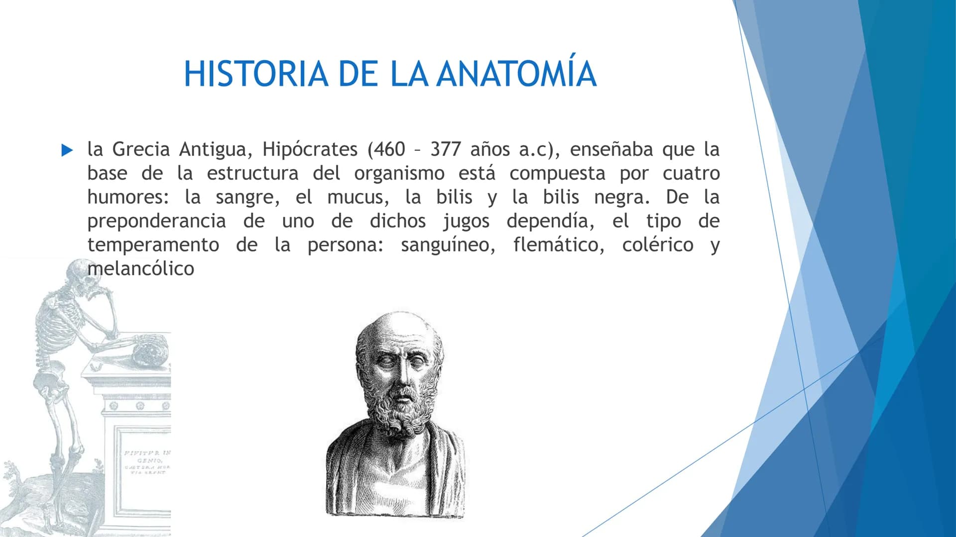 CONCEPTOS BASICOS
ANATOMIA
FT DAVID MONTENEGRO VIVAS ¿QUÉ ES LA ANATOMÍA? ANATOMÍA
Es el estudio de la estructura y la forma del cuerpo y su