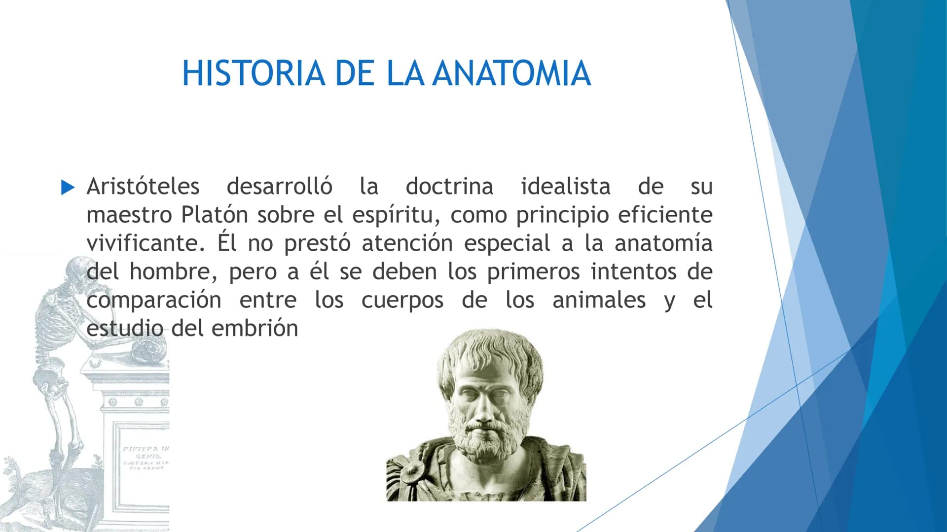 CONCEPTOS BASICOS
ANATOMIA
FT DAVID MONTENEGRO VIVAS ¿QUÉ ES LA ANATOMÍA? ANATOMÍA
Es el estudio de la estructura y la forma del cuerpo y su