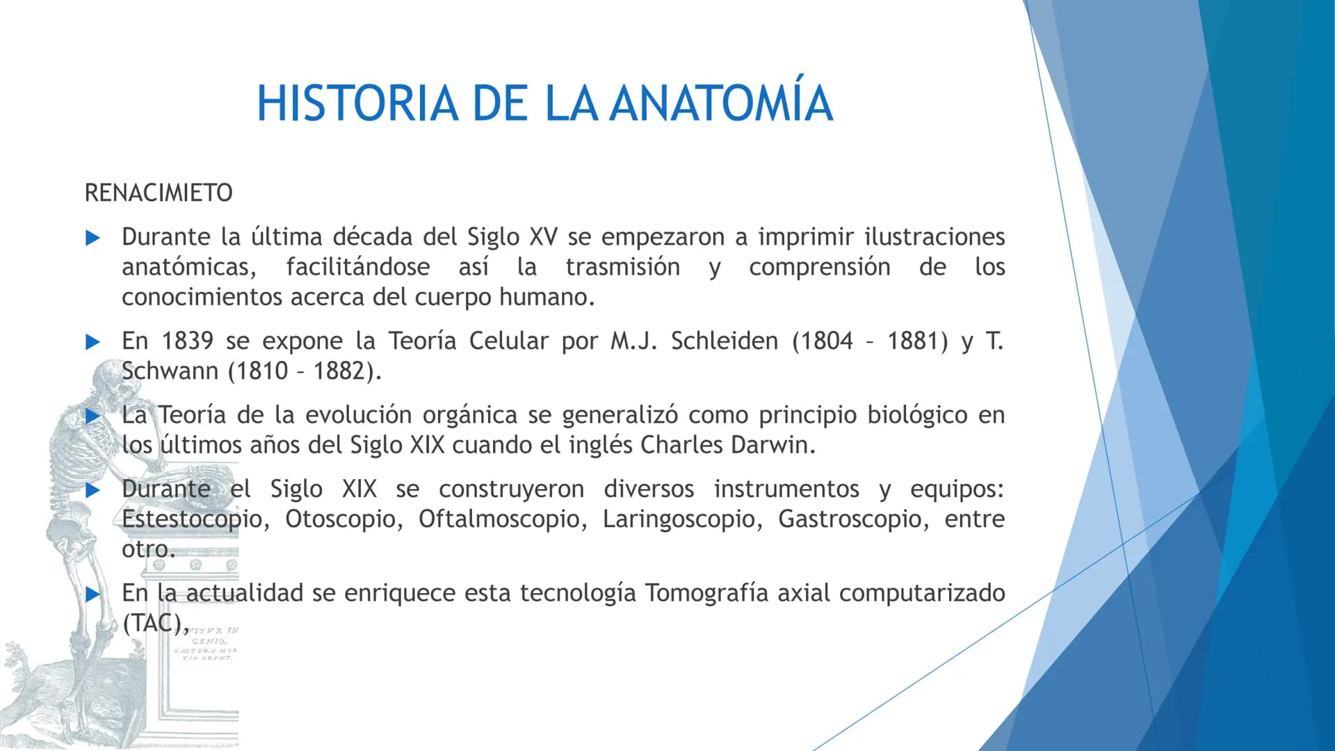 CONCEPTOS BASICOS
ANATOMIA
FT DAVID MONTENEGRO VIVAS ¿QUÉ ES LA ANATOMÍA? ANATOMÍA
Es el estudio de la estructura y la forma del cuerpo y su